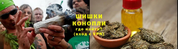 соль ск Белокуриха